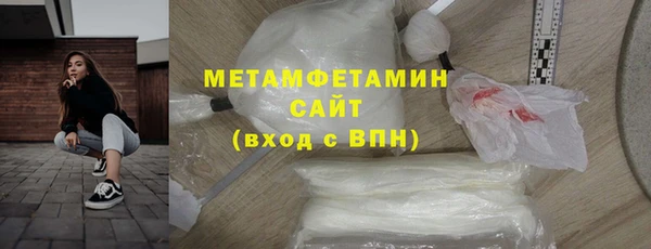 прущие грибы Краснотурьинск
