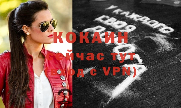 прущие грибы Краснотурьинск