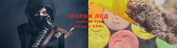 прущие грибы Краснотурьинск