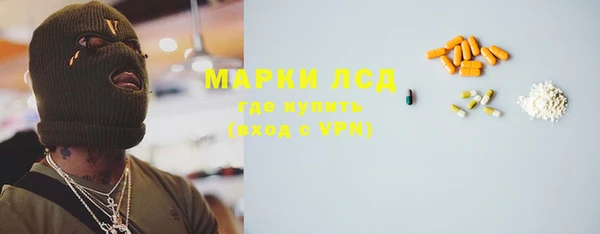 прущие грибы Краснотурьинск