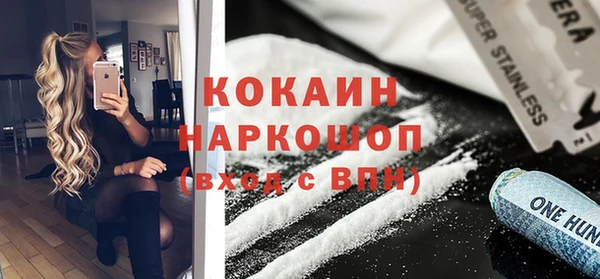прущие грибы Краснотурьинск