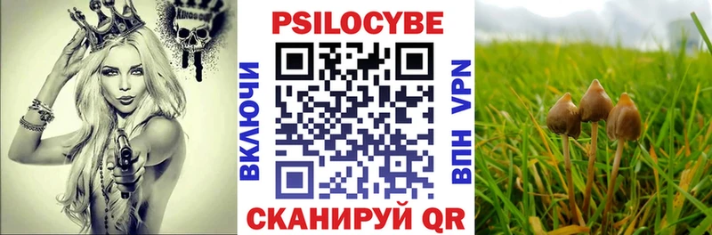 Купить где  Сасово  Псилоцибиновые грибы мухоморы 